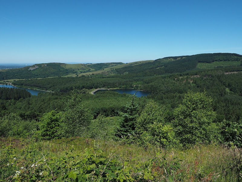 Macclesfield Forest